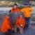 decorative concrete training at the World of Concrete