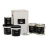 Paramount Coatings Co Epoxy Flake Kit